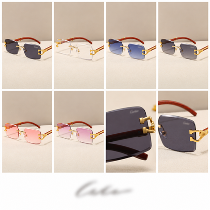 The Signature Collection CT