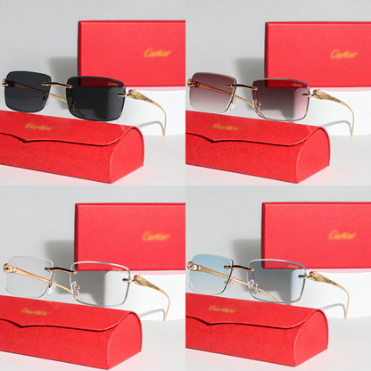 The Signature Collection CT